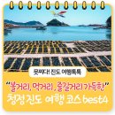 새천년 명견 진도개 사육장 | 볼거리 즐길거리 먹거리 가득한 진도 여행 총정리!