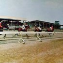 태조목장 이미지