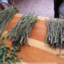 석곡농장 이미지