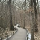 국립수목원 산림박물관 | 포천 가볼만한곳 광릉국립수목원 이끼정원부터 산림박물관까지 힐링 코스 추천