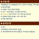 넥서스투어 이미지