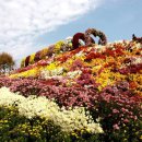 화순 하니움문화스포츠센터 공설운동장 이미지