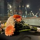 대신중고교 | 종로 웨딩스냅촬영 후기｜모스앤코튼 프리미엄 가격, 야외스냅까지 솔직 리뷰 (+웨딩촬영 꿀팁) 노을...