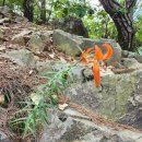 소요산일주문약수터 이미지