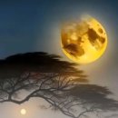 그래도 돼 - 조용필 이미지