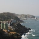 야생화편지 이미지