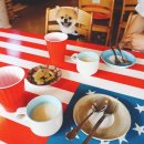 고목로1 이미지