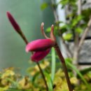 (주)에이원시스템 이미지