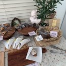 청년모종 이미지