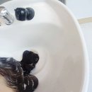 몽실헤어샵 | 광주 분야디 클리닉 연제동 미용실 이지용 헤어샵 후기 !
