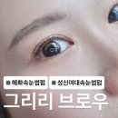 비제이테라피 | [종로/속눈썹] 혜화속눈썹펌, 성신여대속눈썹펌 그리리브로우 솔직 후기★