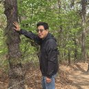 5월10일(일)방화근린공원~치현산~개화산무장애숲길 트레킹 이미지