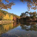 수원-0594 이미지