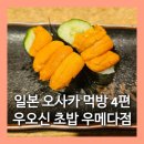 오사카 초밥 맛집 우오신 초밥 우메다점 만족 후기 (인생 우니 발견, 연어&참치 초밥 강추/오사카 먹방4)