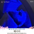석전초등학교 | 마산 피부관리 추천｜석전동 헤이미, 압출 꼼꼼한 피부샵 RF 고주파 관리 후기