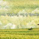천농 이미지