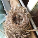 굿모닝농장 이미지