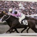 근성목장 이미지