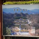 봉산면_노곡리(재활용 동네마당) | 합천호 벚꽃라이딩