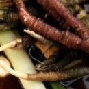 바구니농원 이미지