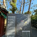 세븐일레븐 구의아차산점 | 아차산 겨울 새해맞이 등산 초보 코스 추천 (광장중학교 - 어울림 정원 - 해맞이 광장 - 아차산 정상...