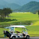 탑스텐동강리조트