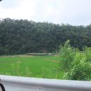 덕치리 마을회관 이미지