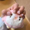 쮸네일 네이버블로그