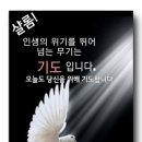 코코스 이미지