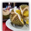 두리 골프클럽 | 골린이 일지 - 두 번째 해외 골프 라운딩 &amp; 전지훈련 (말레이시아 산수이 cc)