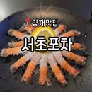 서초남서울 | 양재술집 추천 | 딱새우회가 맛있는 &#39;서초포차&#39; 방문후기