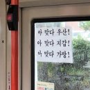 저스트포미 수영복 후기 (착샷,입수샷 ⭕️)