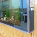 구립성모어린이집 이미지