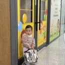 고양 무인 키즈카페 &lt;리틀꾸러기&gt;