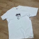 3342 | 나이키 x 스투시 월드투어 티셔츠 화이트 US/EU(DD3342-121) 구매 후기