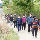 마포, 걷고싶은길 10코스 이미지