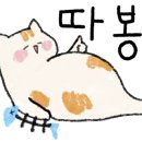 큐리키즈룸 이미지