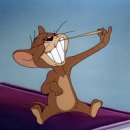 톰과제리 이미지