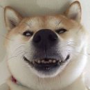 천천향