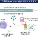 셀이노베이션