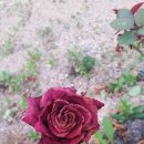 합천나우누리펜션 이미지