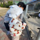 망상농장 이미지