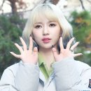 로하 이미지