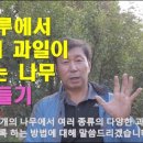 한그루바이오 이미지