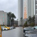 미소돌봄동물병원 이미지