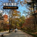 국립수목원 산림박물관 | 서울근교 포천 국립수목원 가을 단풍 나들이 아이와 산림박물관 숲해설