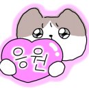 뽀독뽀독 이미지