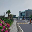 대흘초등학교 병설유치원 이미지