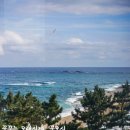 바다정원 이미지