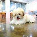 달링하이울산 이미지